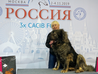 КАВКАЗСКАЯ ОВЧАРКА РУССКИЙ РИСК АРМИЯ 2 ГОДА