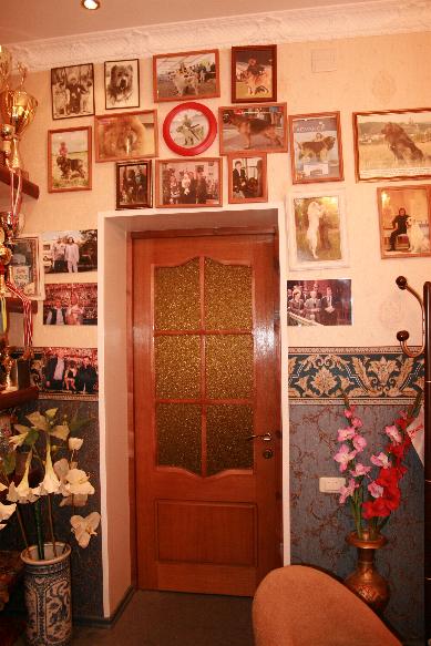 призы кавказских, среднеазиатских, немецких овчарок