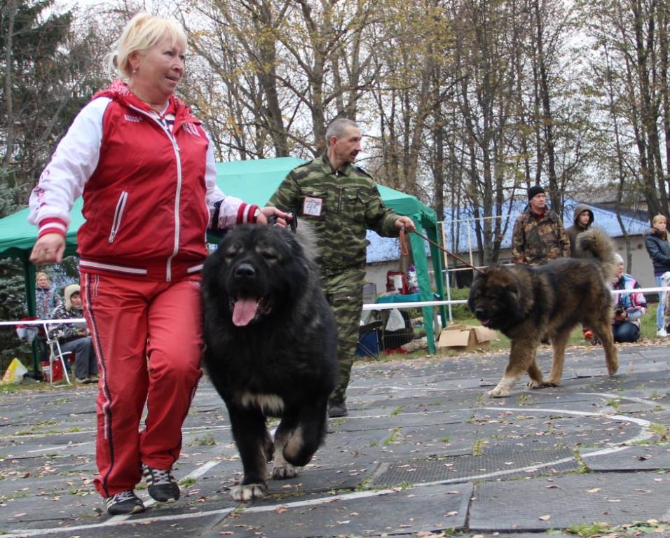 РУССКИЙ РИСК ТАЙФУН